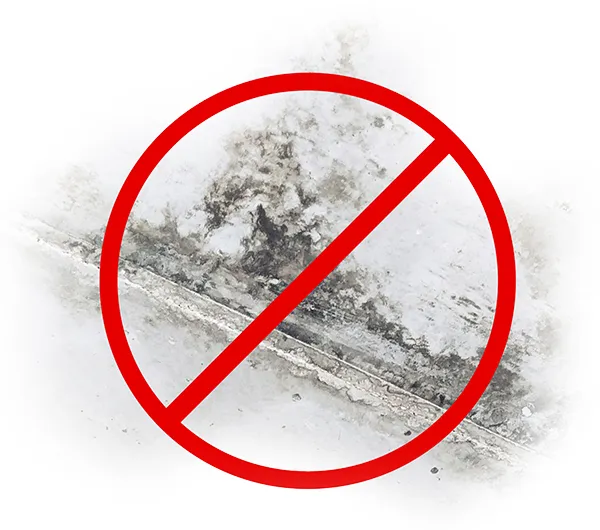 moldy drywall